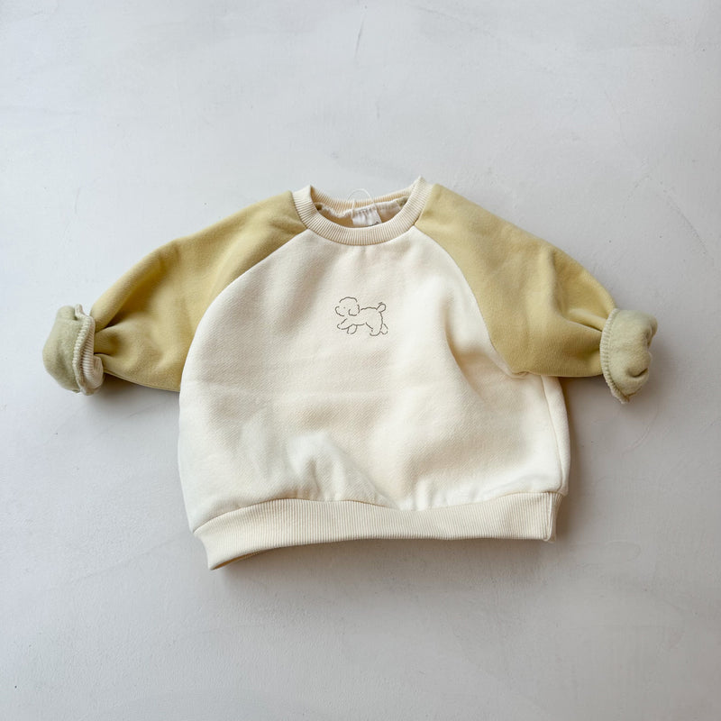 Raglan puppy sweater - Cream/Yellow