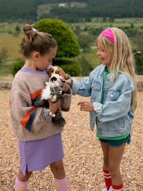 Nancy - The Norwegian Forest Cat