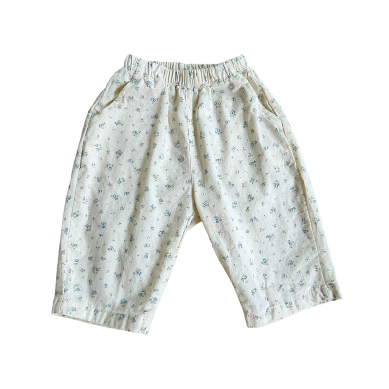 Blue flower chino pants - Ivory