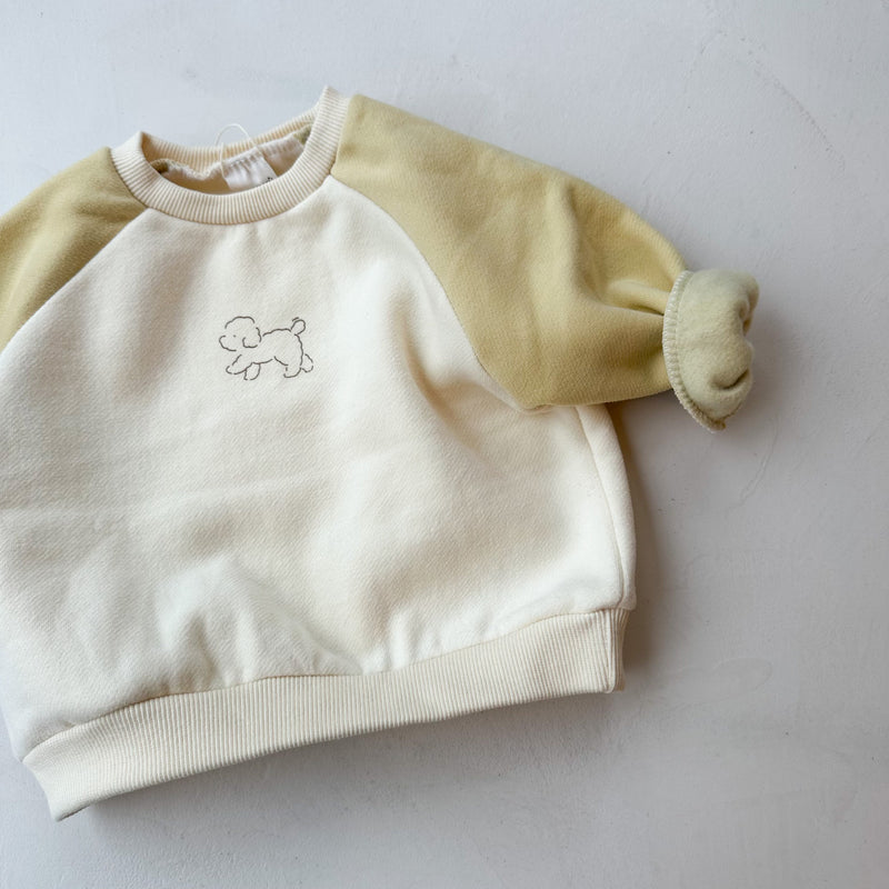 Raglan puppy sweater - Cream/Yellow