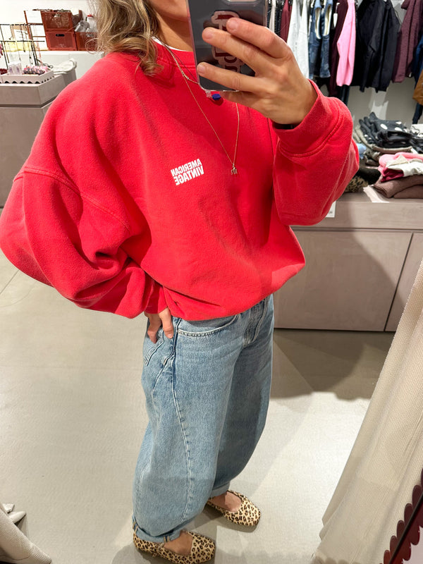 Plizzy sweater - Vintage volcan