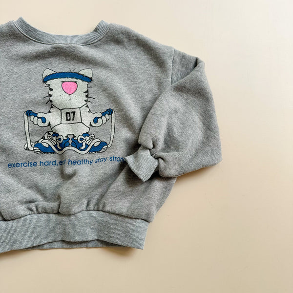 Jumping cat sweater - Melange grey