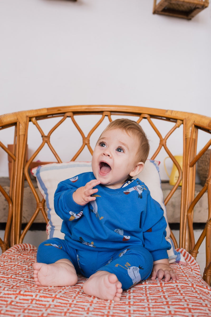 Seagulls baby sweatshirt - Royal blue