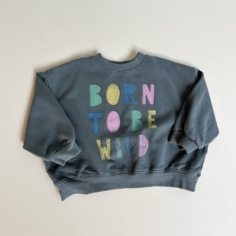 Wild sweatshirt - Washed grey