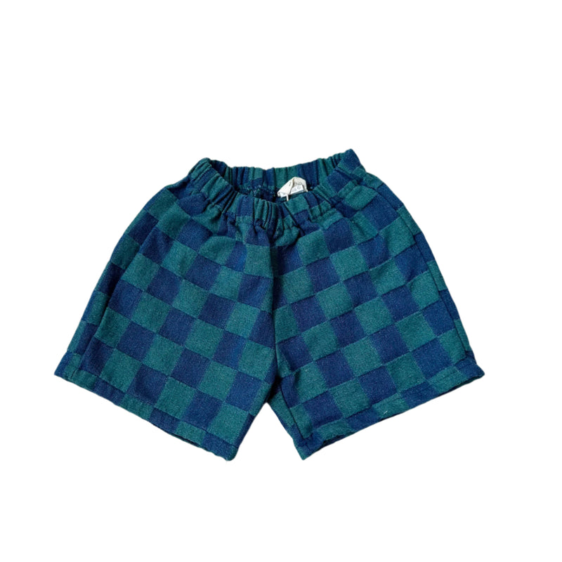 Bicolor checkered shorts - Navy/green