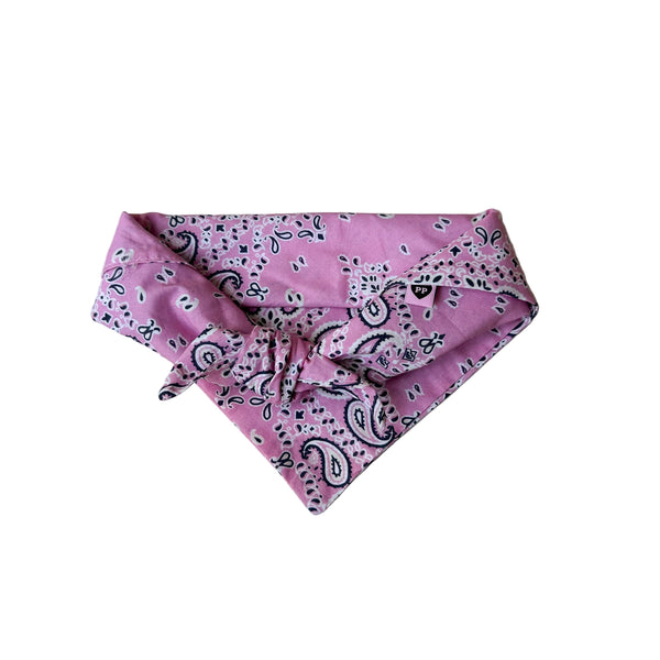 Paisley scarf - Pink