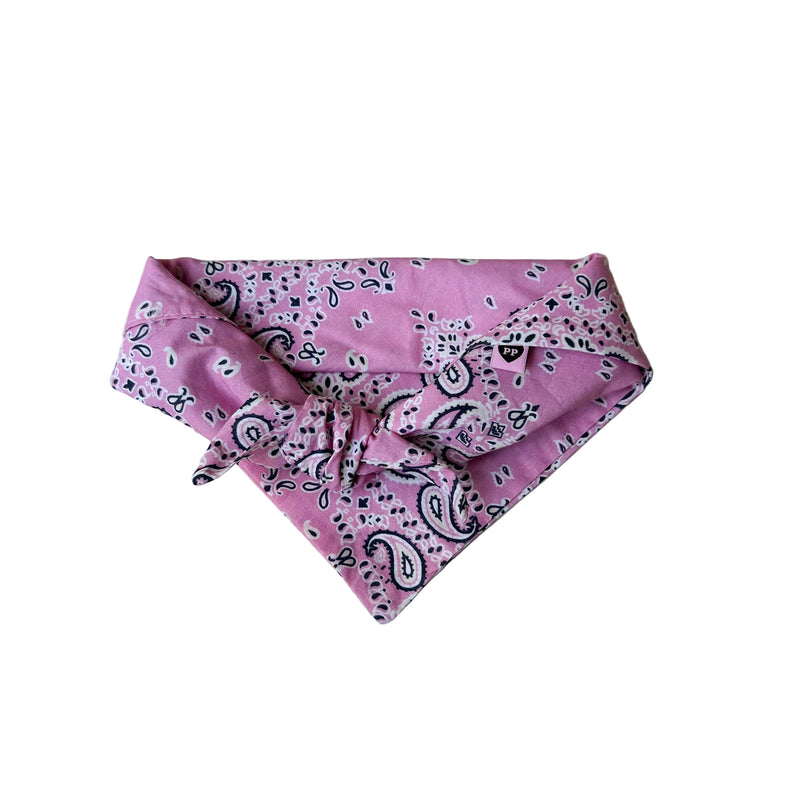 Paisley scarf - Pink