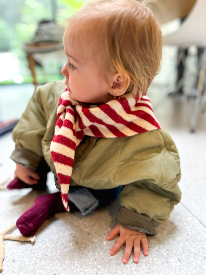 Soft stripe scarf - Wine