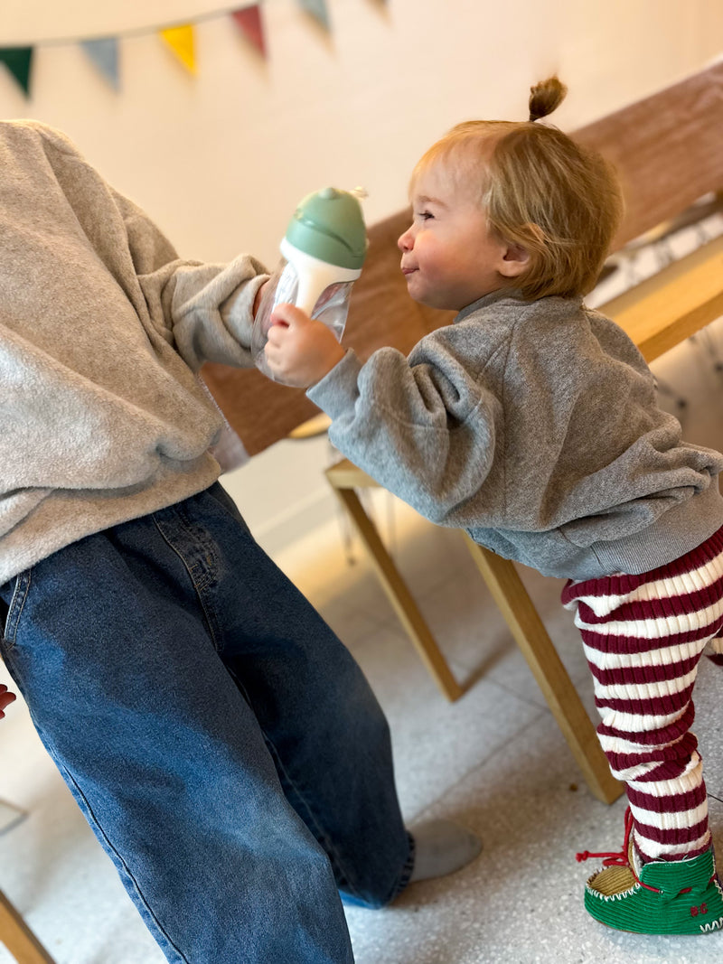 Fleeced terry elephant sweatshirt - Grey melange