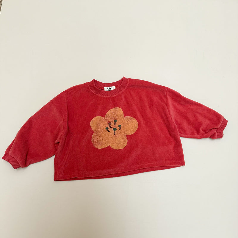 Terry flower cropped sweater - Washed red