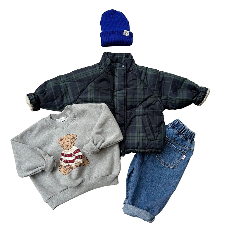 Tori check jacket with fleece - Navy/green