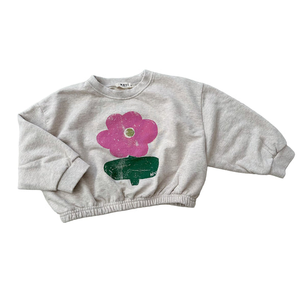 Lily cropped sweater - Oatmeal