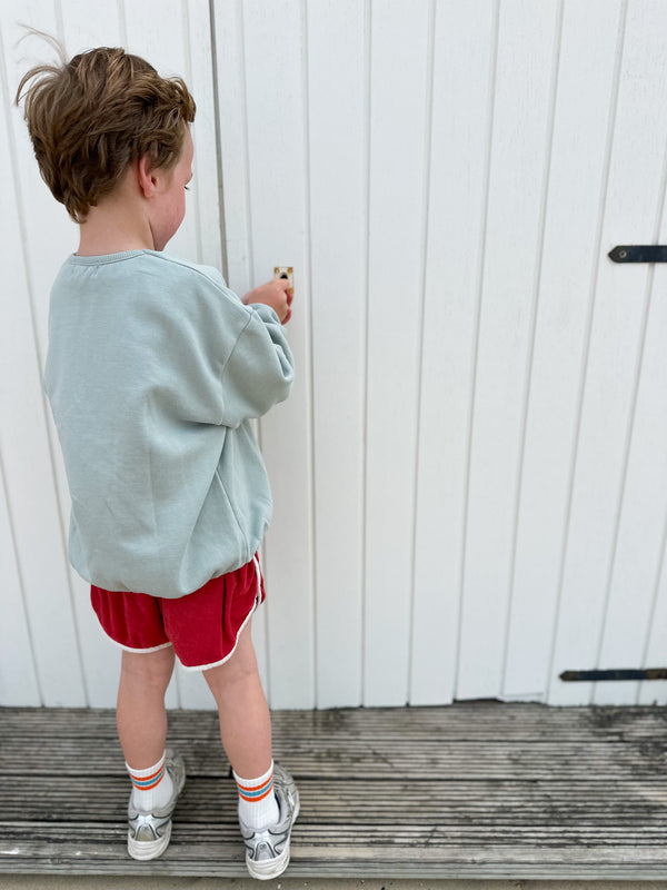 Gigi soft sweatshirt - Sage