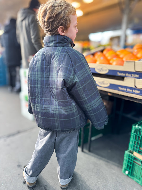 Tori check jacket with fleece - Navy/green
