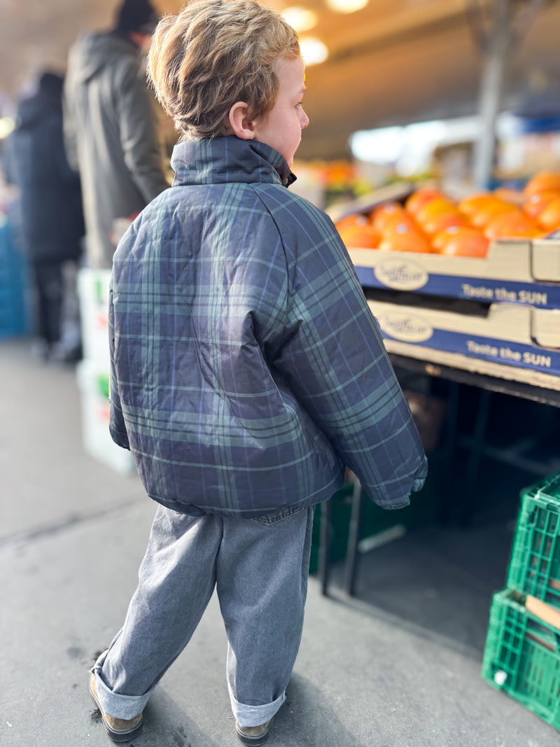 Tori check jacket with fleece - Navy/green