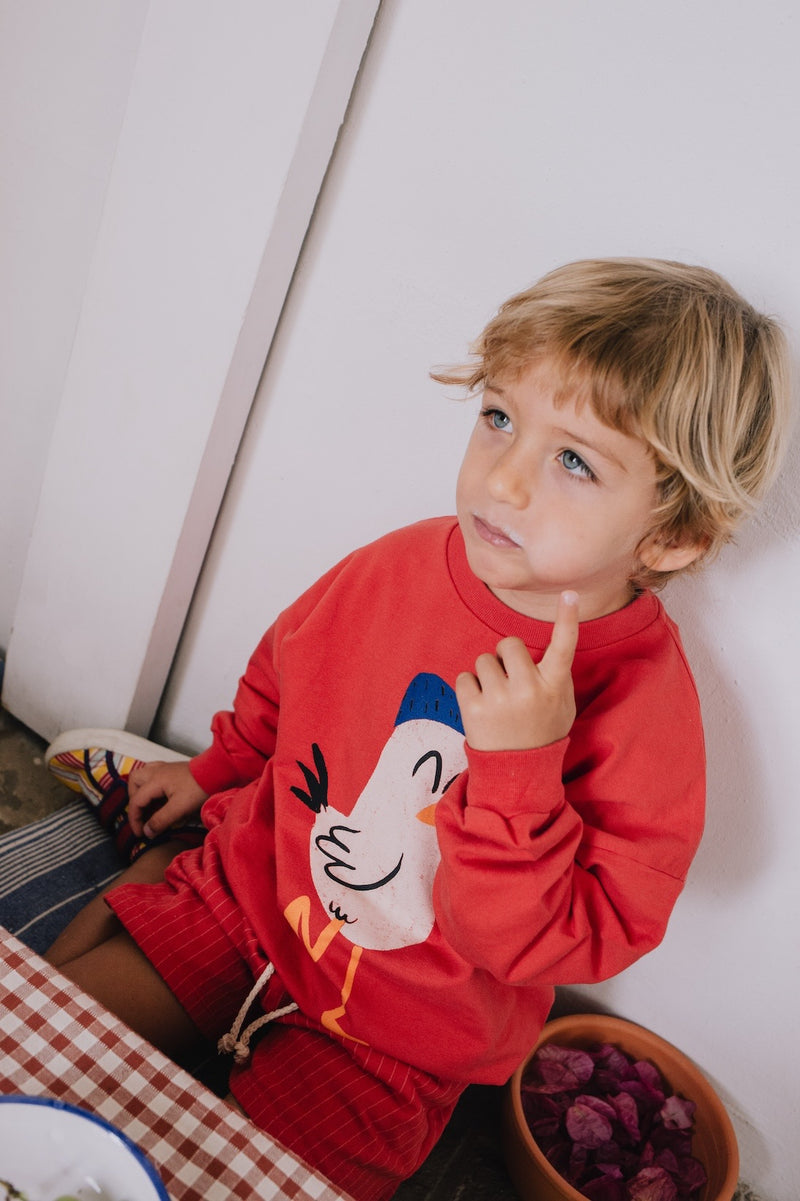 Seagulls sweatshirt - Red