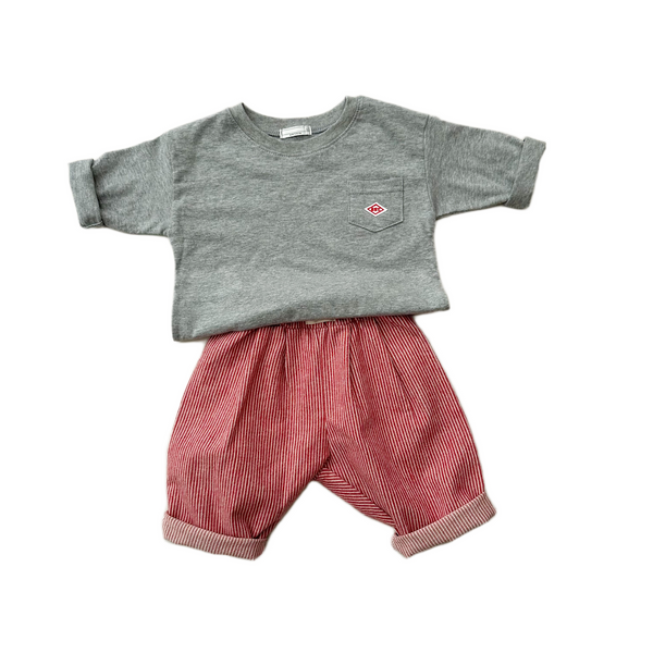 Soft flanel striped chino pants - Red