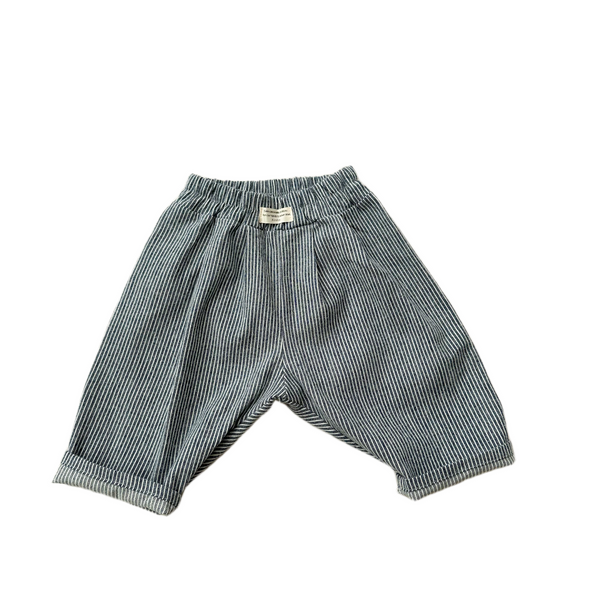 Soft flanel striped chino pants - Navy