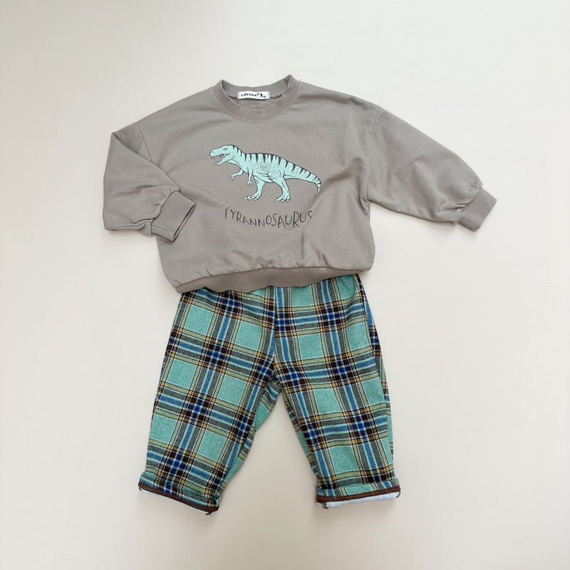 Muse check pants - Mint