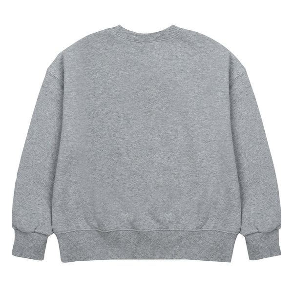 Peace bird sweater - Grey melange