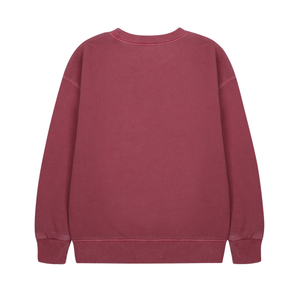Flying bird pigment sweatshirt - Washed burgundy