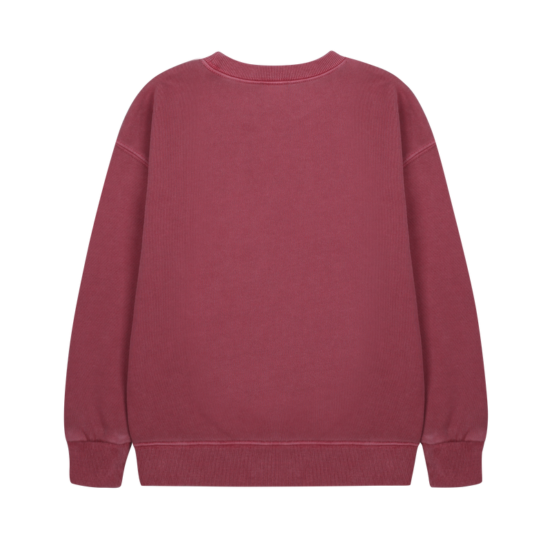 Flying bird pigment sweatshirt - Washed burgundy