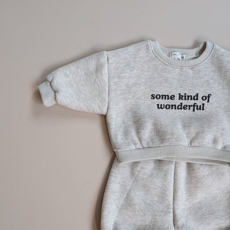 Wonderful fleeced sweatshirt - Oatmeal