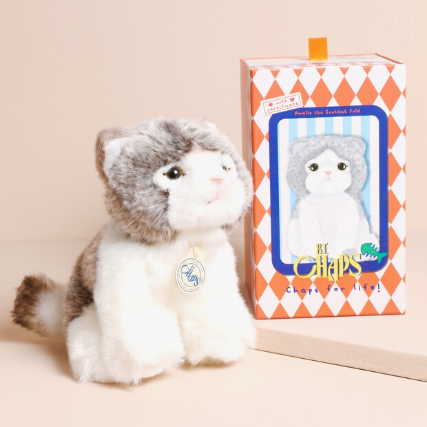 Amelie - The Scottisch Fold